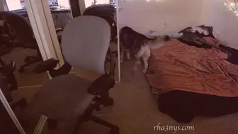 rhaenys 8.10.2020 337_couple chaturbate