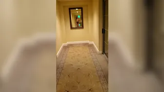 lady_in_the_streets_Onlyfans2020 05 21 4 If_you_re_staying_in_the_right_hotel