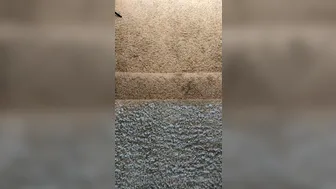 modeltaylork 19 11 2020 5 What kink do you guys like to do to a girl the most