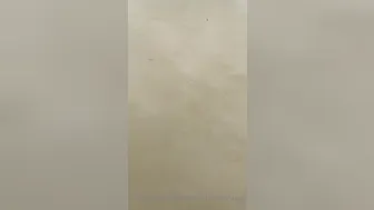 dannymancinixxx_2021.02.09_2028228316_Beach_with_my_friend_indiannarajung