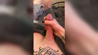 cutiepii33quinn (Vert.) (9)