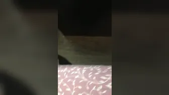 Melanie Brooks  (Vert.) (11)