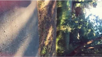 missmeforever onlyfans_2019-08-26 - 54729679