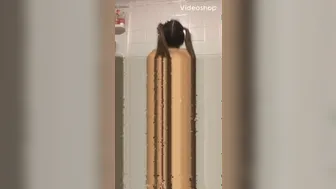 missmeforever onlyfans_2020-01-11 - 123589494