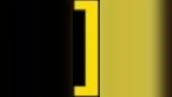 evelynuncovered onlyfans_2020-11-26 - 1336865337