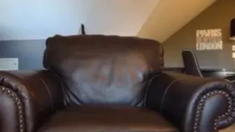 jadebirthday 8.04.2019 421 chaturbate