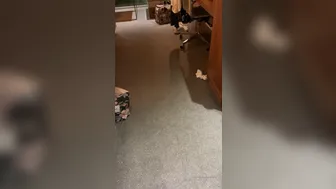 Josipa Karimovic (karimovicjosipa) OnlyFans (9)