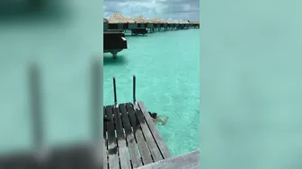 AspenRae 2020 12 17 Living the best mermaid life I can