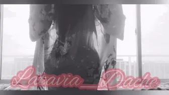 latavia dache 09 04 2020 30682682