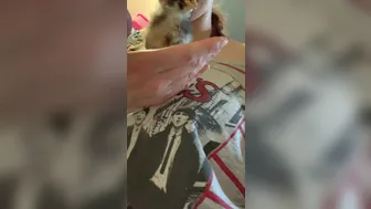 nickeyhuntsman 2020 04 12 230059646