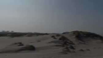 veronagymnast 08 04 2020 4