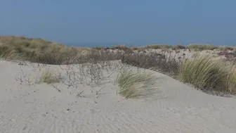 veronagymnast 06 04 2020 3