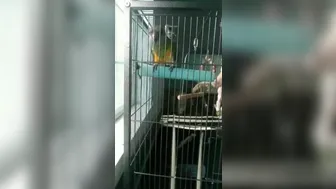 charlotte1996 10 12 2019 15998814 Also I would be remiss if I didn t share this video