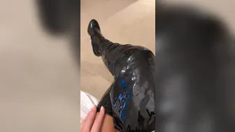 BlondieRose onlyfans 746