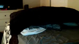 peytonmoaning  Online show