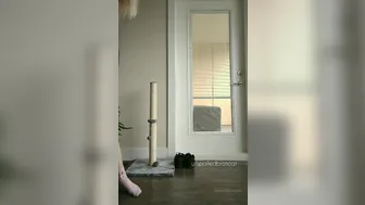 spoiledbratcat onlyfans 5e7a6353273b4d5acfd63 source