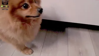 moniquetyler69 9.05.2021 334_female chaturbate 2021