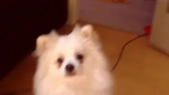 lillpio (Porn, Anal, webcam, Creampie, Big Tits, Blowjob, All Sex, Teens) (720p) (via Skyload)_6