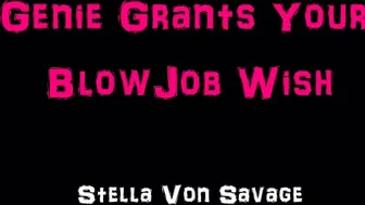 Stella_Von_Savage_066 - Genie Grants Your BJ Wish POV Cosplay