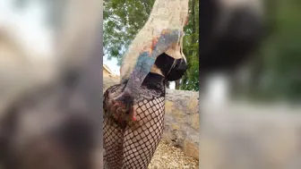 Sabrina Sabrok onlyfans 2019 10 02 66789328 Public fishnet fetish Video