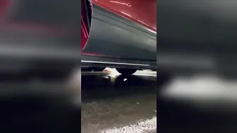 slavenagoddess onlyfans 251