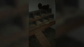 elenakoshkaxoxo onlyfans niB7WMCRLGnsZmuLva5ByeX0wDT3J6O4