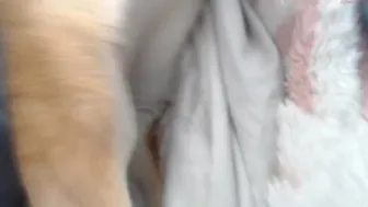 wetsparkles Radiant brunette