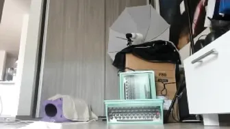 vanandjuani  Masturbation To Orgasm On Live