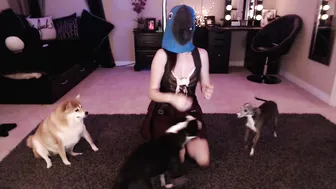 blazefyre  hooker Stops Shaggy Pussy