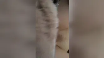 Laiste Girl_2017.10.10 08.27.06