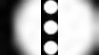 Dazed Daisie_AKHO7797