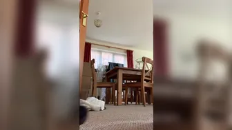 BoltOnWife aka boltonwifeonlyfans 5d8369e999088a497cba4