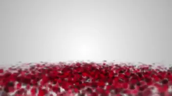 toochi kash onlyfans Naked Pillow fight Ashley lucero Toochi Kash