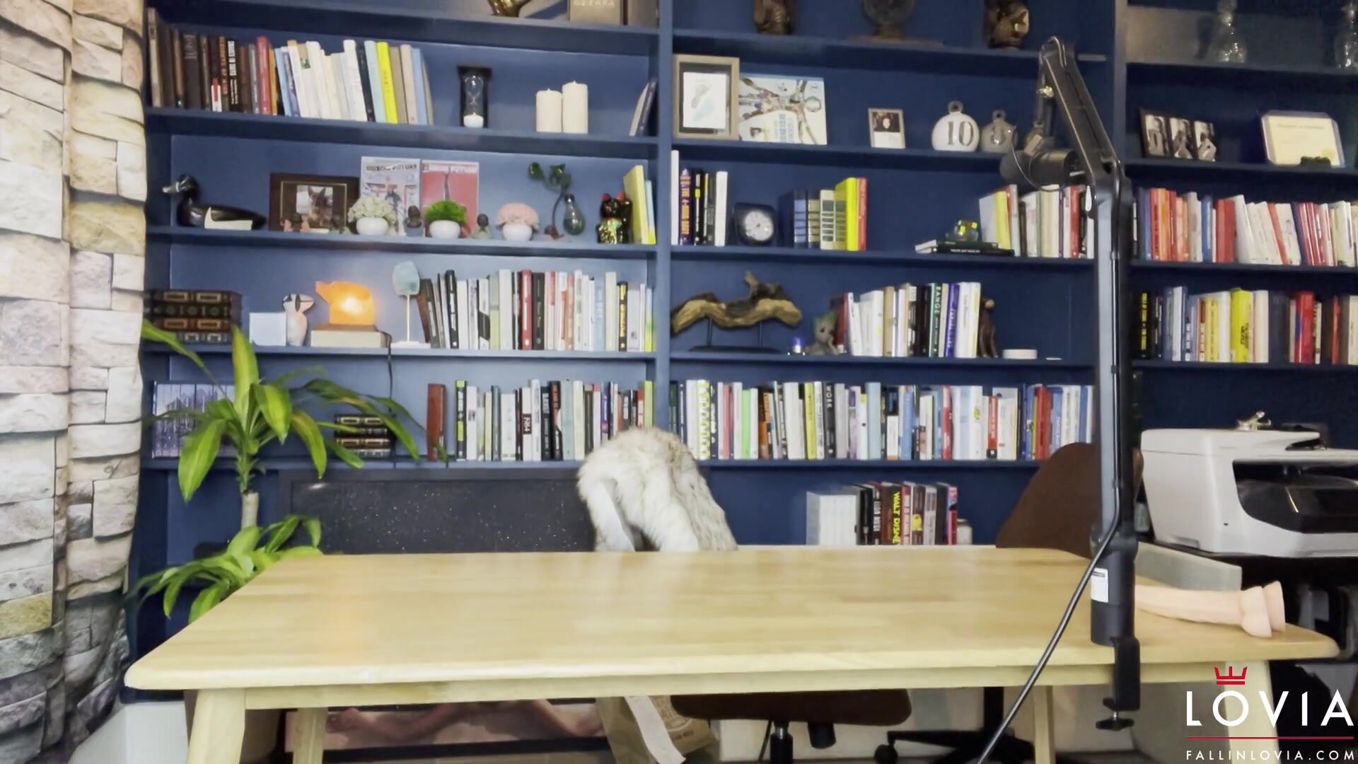 Fallinlovia office role play