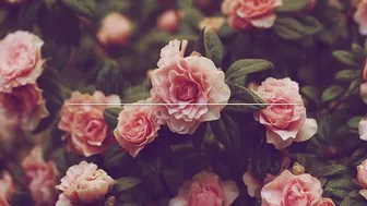 lillieinlove onlyfans Passionate chick sucks dick and fucks in her pussy