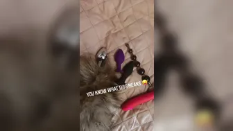 BELLE BARBIE (bellebarbie) onlyfans 20 August 2021