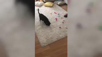 Anna Bell Peaks (AnnaBellPeaks) onlyfans 27 August 2021