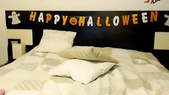 wild_kittycat  translational 9_09_2017 year