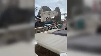 queenb_  onlyfans Amazing bitch fucks juicy holes