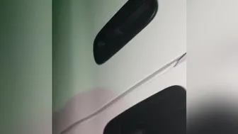 fanbus  onlyfans myfreecams