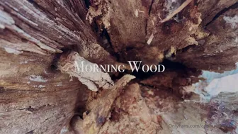 countrychristina  onlyfans Graceful babe caresses wet wet pink hole