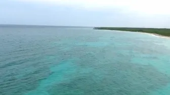 Morgan Lux aka morganlux  onlyfans three whores in the kitchen