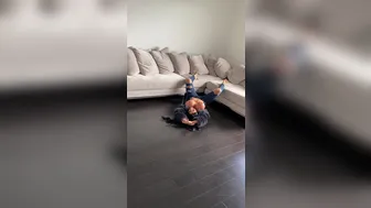 iamlmonies  onlyfans  First time amazing from masturbation