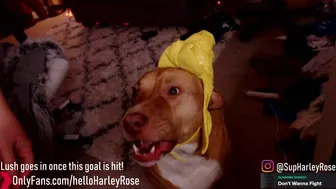 helloharley 30.01.2020 0755_female_chaturbate part 4