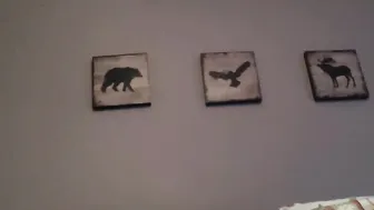 sunsnmoons  21 august 2017