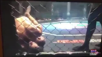 bwctravelvids onlyfans Hot hottie sucking dildo