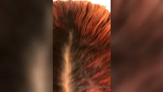 Kya aka dabofkya onlyfans Beautiful shlendra exposes big tits