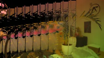 Watch psychedelicariaa 18.10.2020 2203_female_chaturbate