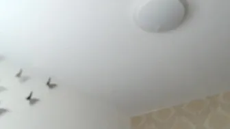 Watch kissofacobra 09-june-2021 1829_myfreecams_3_5