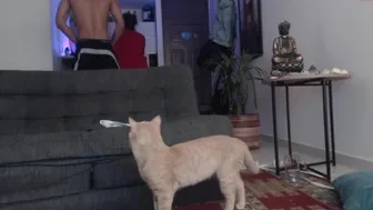 Watch fratguysonline 03-july-2022 0634_couple_chaturbate_5